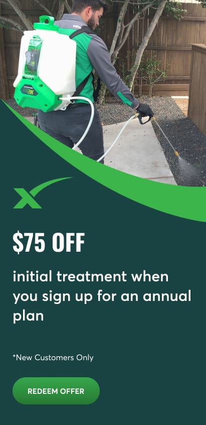 $75 Off First Service