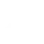 Bald-Faced Hornet