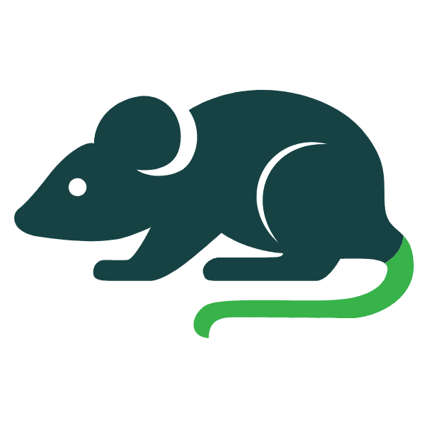 Rodent control Charleston SC