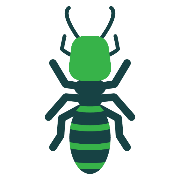 Termite pest image