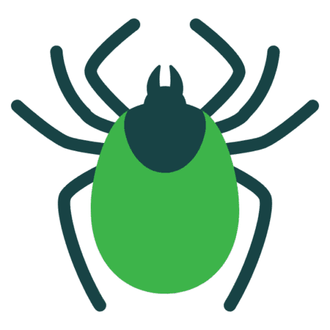 Flea and tick pest image