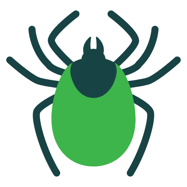 Lone star tick