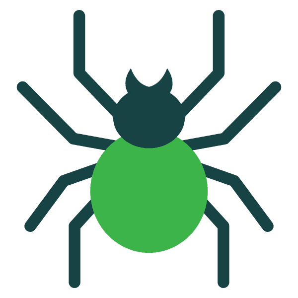 Spider Control