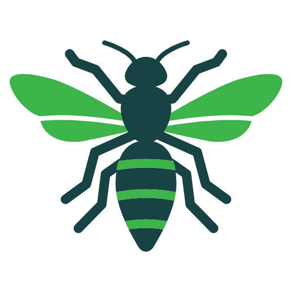 Wasp and Hornet Control