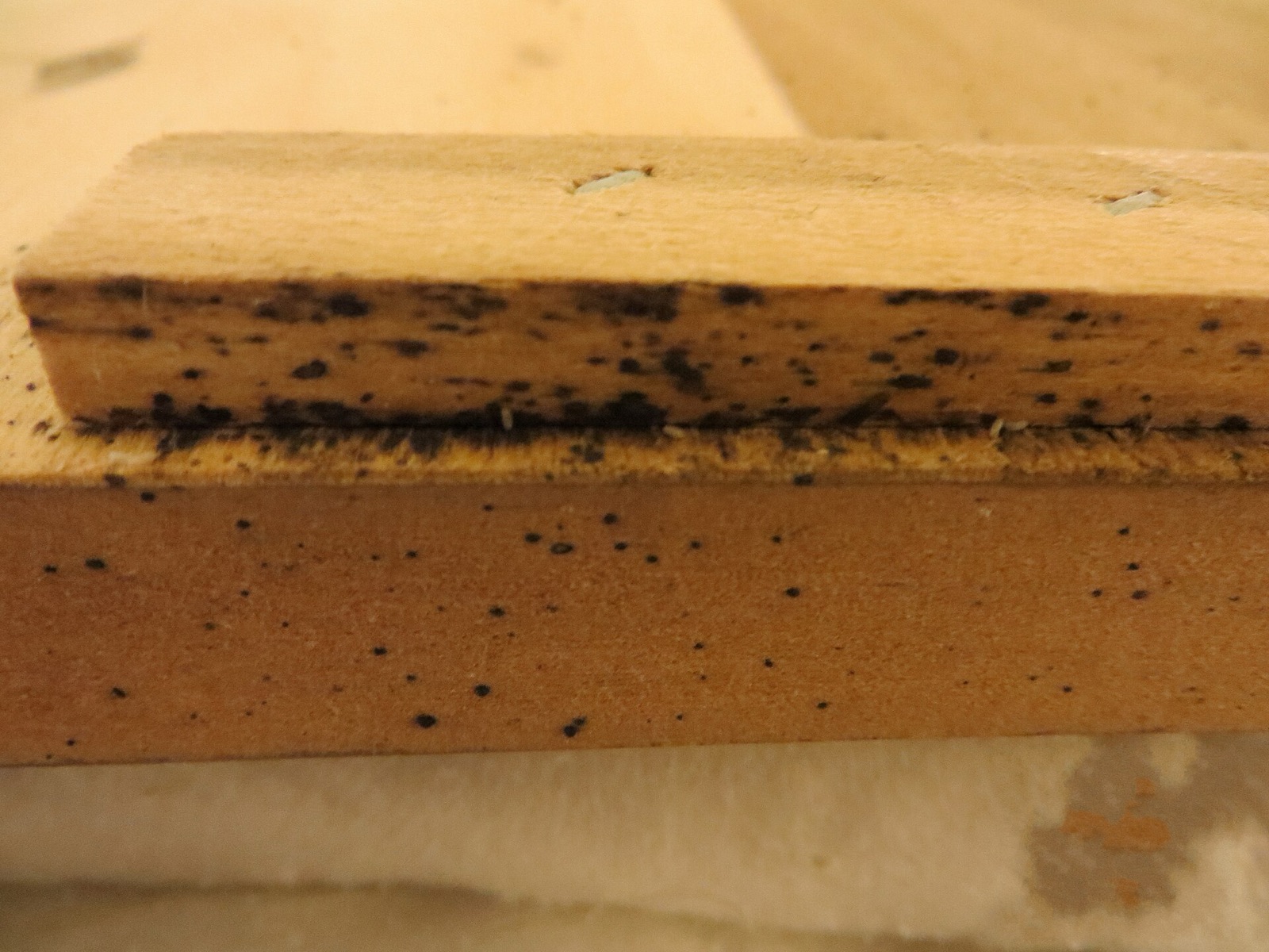 Black bed bug fecal spots clustered along the edge of a wooden bed frame slat