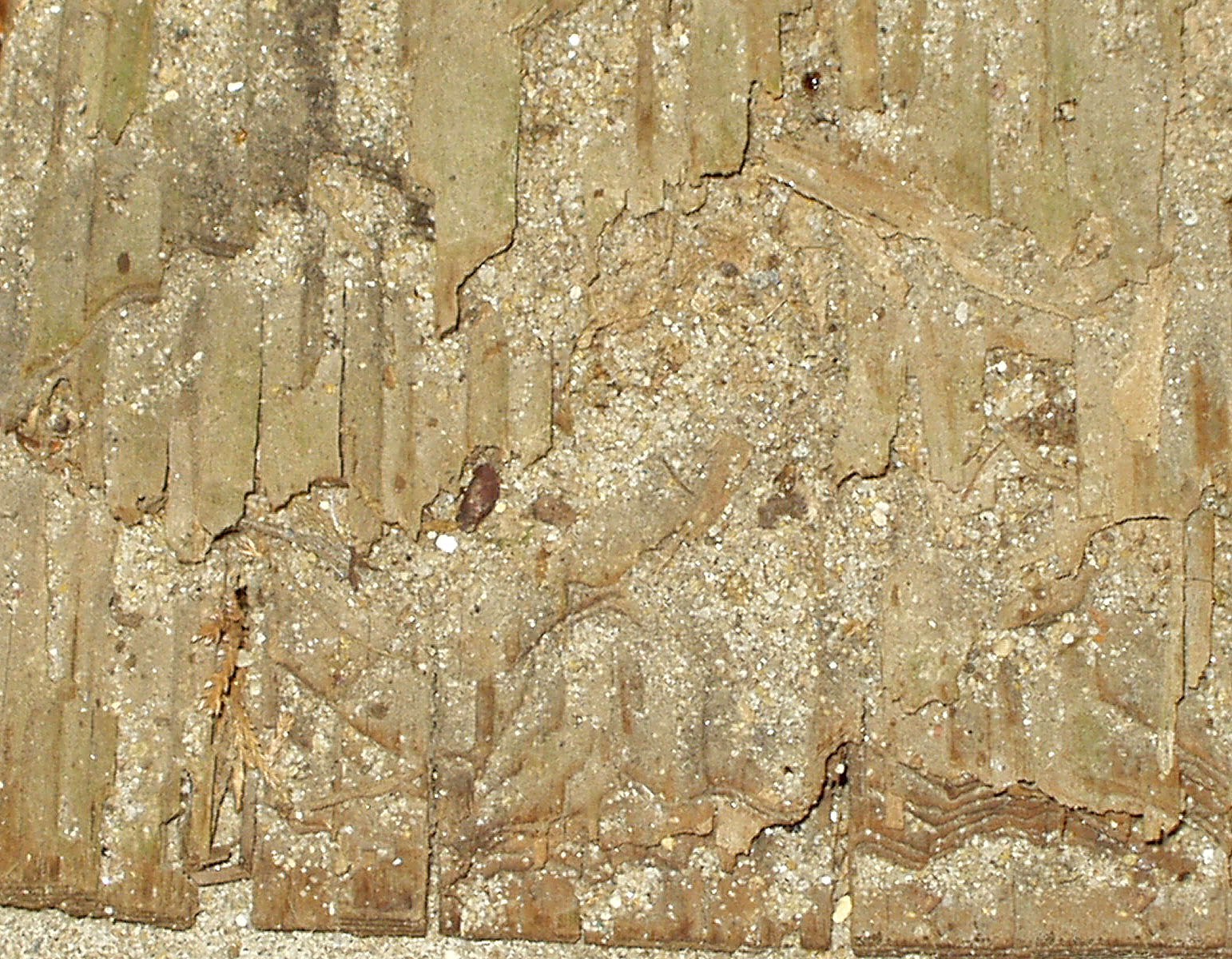 Wood eaten away by termites along the grain, with the tunnels packed with gritty soil
