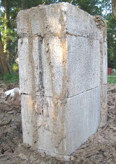 Several brown termite mud tubes running up the sides of a concrete block pier