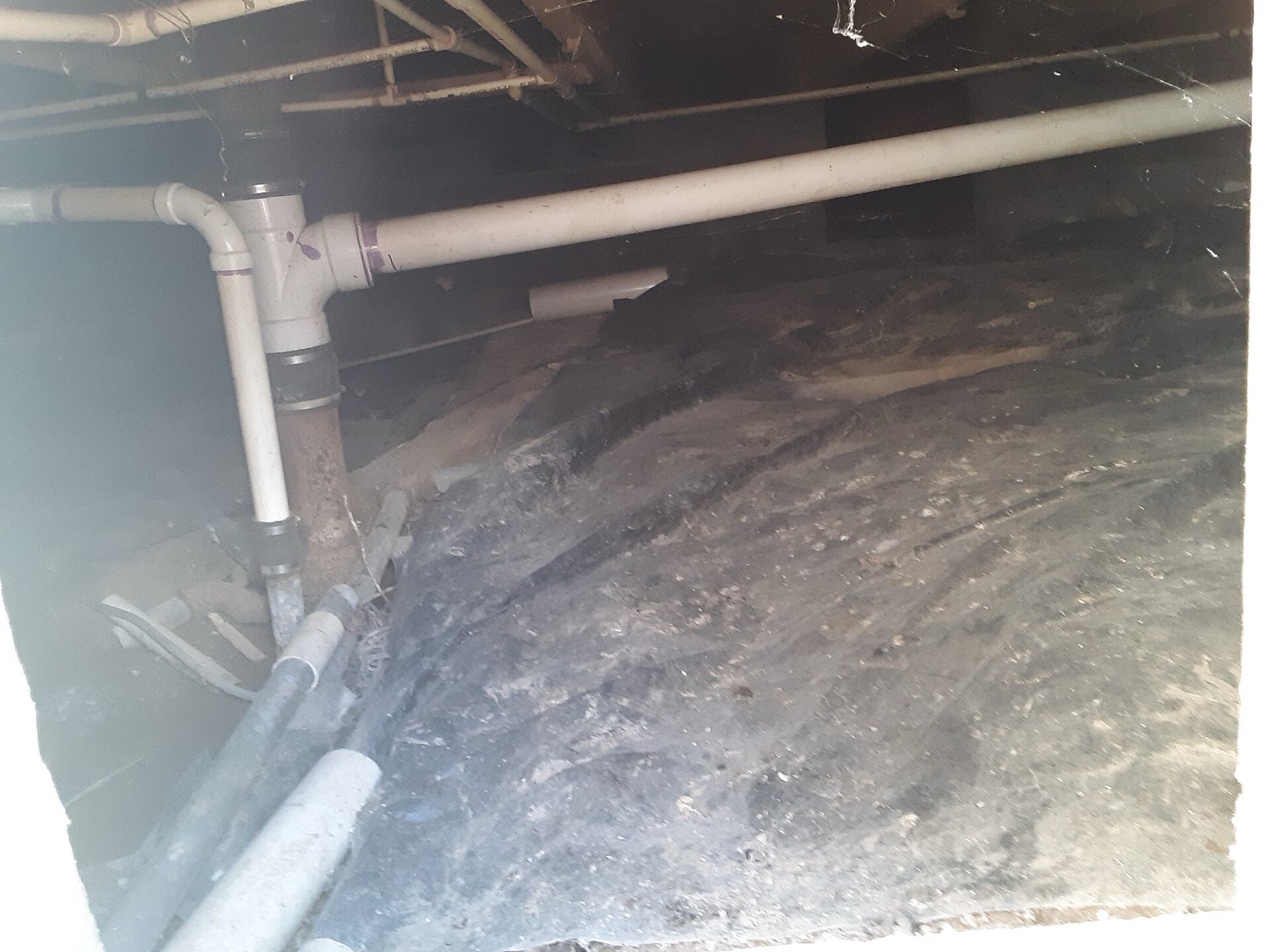 View into a vented crawl space with plumbing pipes overhead and a torn plastic vapor barrier partly covering the dirt floor