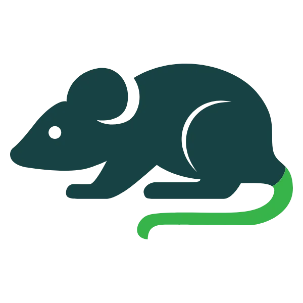 Rodent