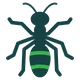 Ant