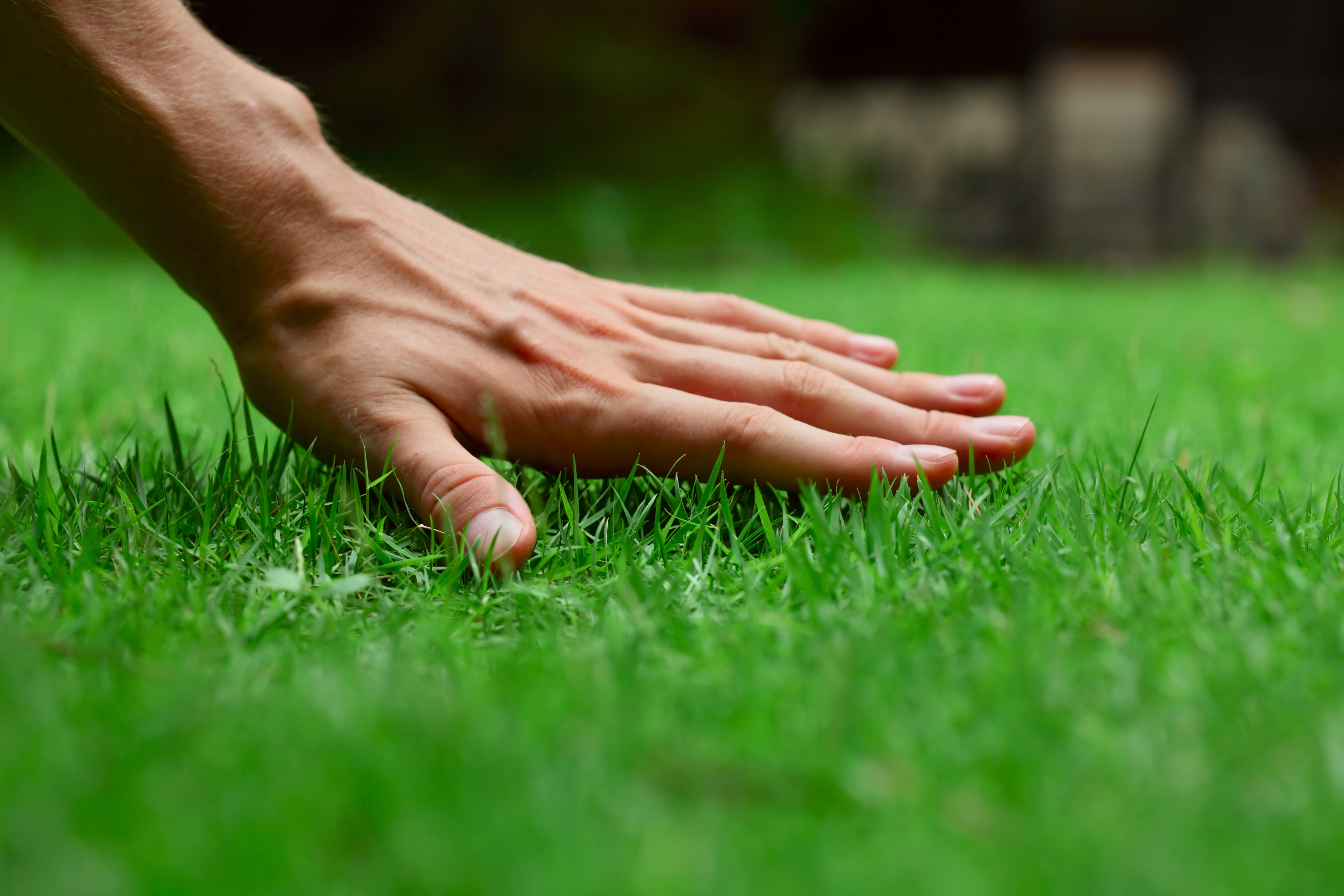 Larvicide Treatment