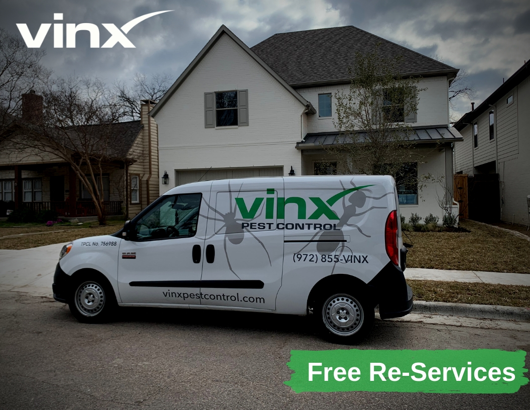 Drain Treatment