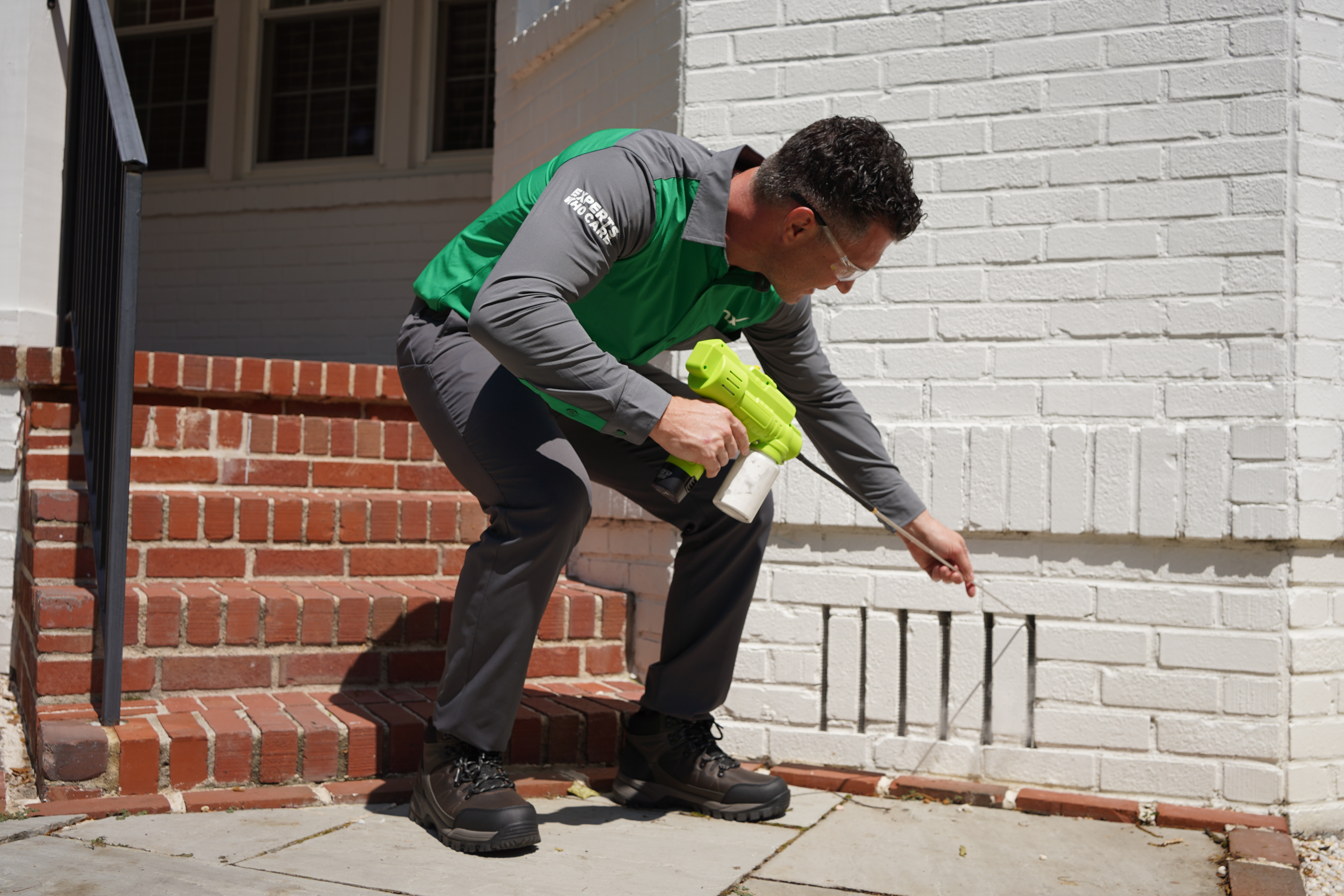 Vinx technician treating carpenter ant galleries in Raleigh home