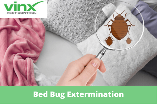 How Long Does Bed Bug Extermination Take