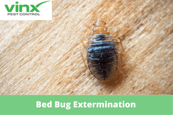 Does My Landlord Have To Pay For Bed Bug Exterminators