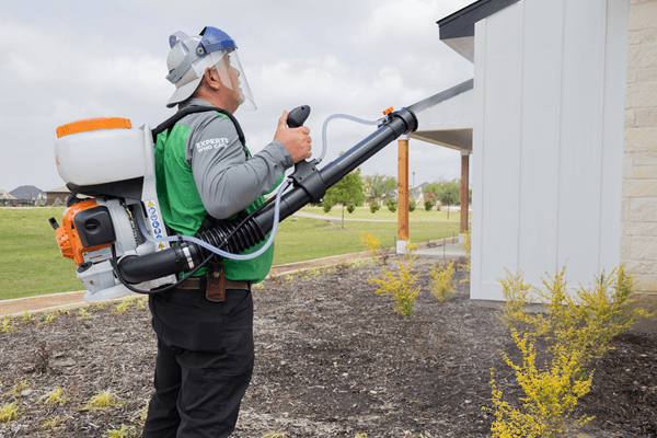 Effective Pest Treatment Solutions for Your Home
