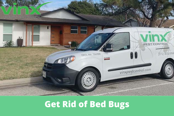Can an Exterminator Get Rid of Bed Bugs