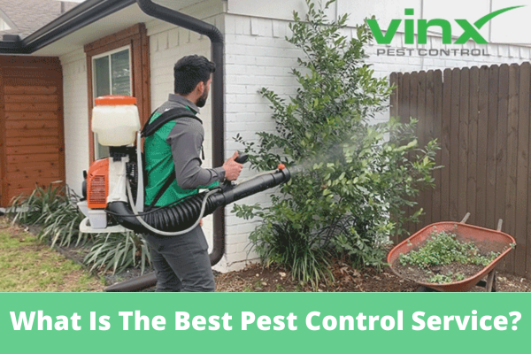 What Is The Best Pest Control Service?