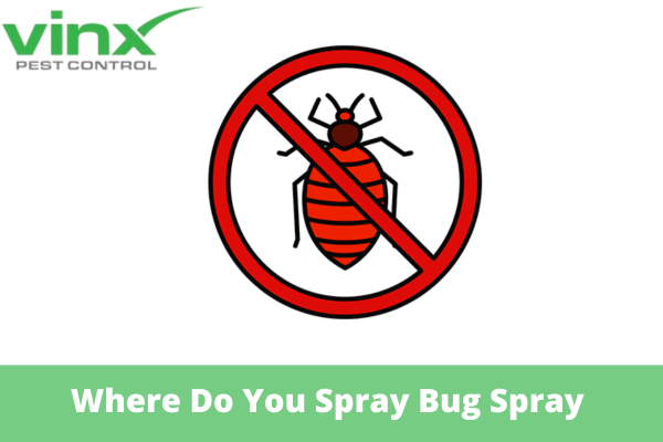 Where Do You Spray Bug Spray in a Room?