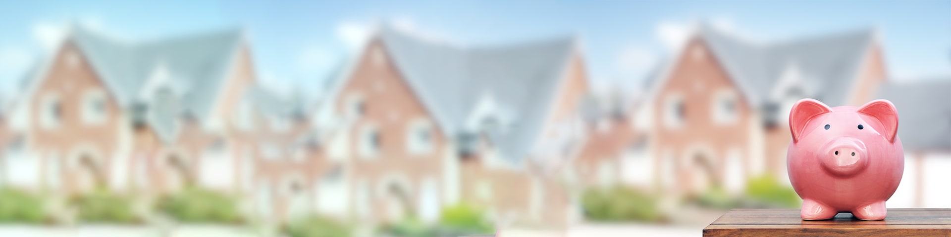 Historical Home, Historical Pests: Common Infestations in Old Southern Residences