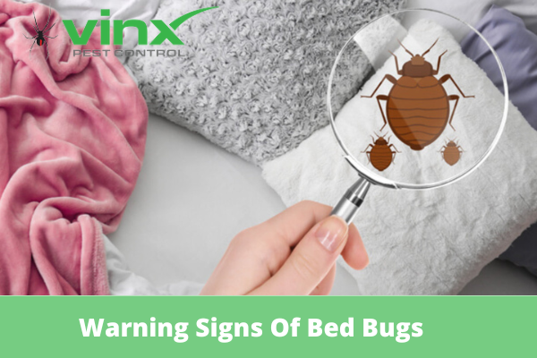 Warning Signs Of Bed Bugs To Look Out For