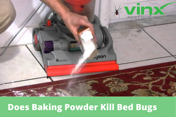 Does Baking Powder Kill Bed Bugs