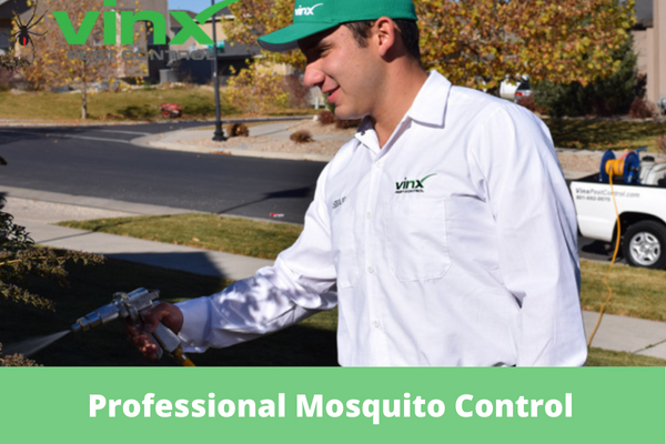Does Professional Mosquito Control Actually Work?