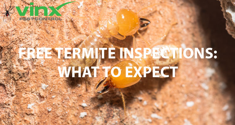Free Termite Inspections