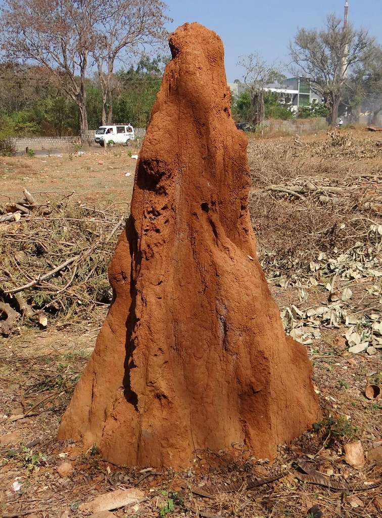 A large, reddish-brown termite mound stands upright in a dry, open area with sparse vegetation and tree branches scattered around. The mound has a rough, textured surface and tapers to a point at the top. In the background, trees, a white vehicle, and a few buildings are visible.