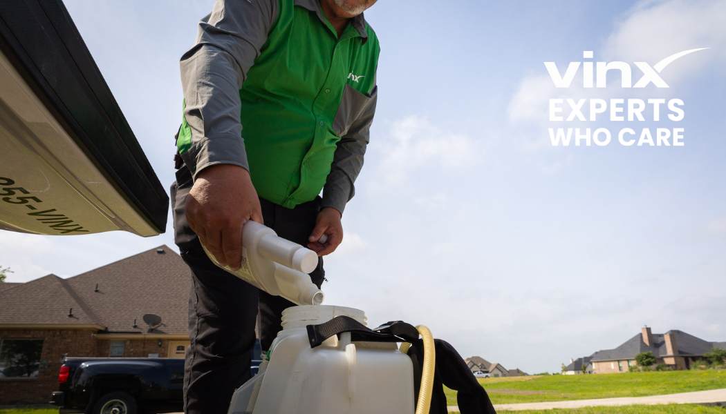 Mosquito Extermination Services: The Ultimate Guide to Mosquito Control in Charleston